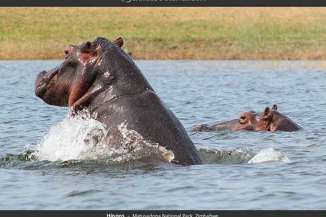 Chobe Day Trip in Botswana - Detailed Breakdown of the Itinerary