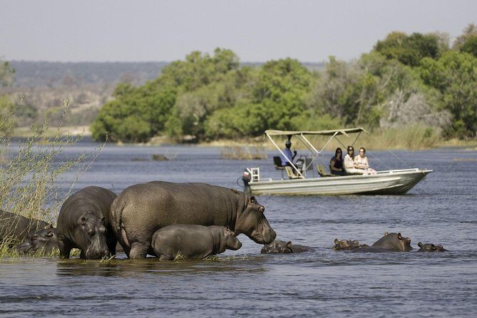 Chobe Extended Day Trip from Victoria Falls - Zimbabwe - What the Reviews Say