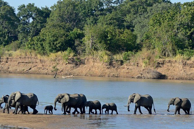 Chobe Full Day Trip - Lunch and Rest Break