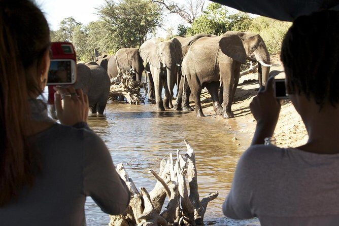 Chobe Full Day Trip - Who Should Consider This Trip?