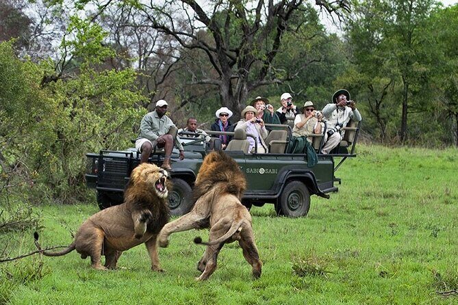 Chobe Full Day Trip - Practical Tips for Your Day