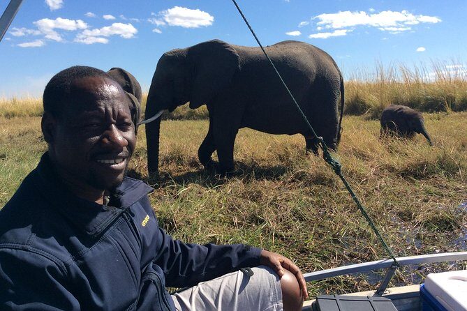 Chobe Full day Trip - What the Reviews Say: Authentic Perspectives