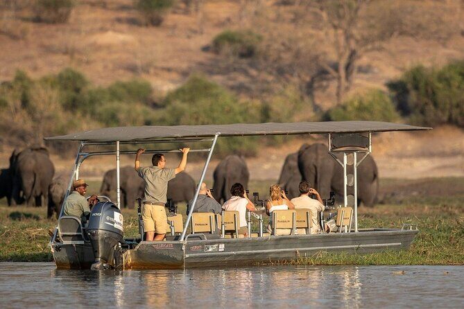 Chobe National Park Day Trip from Victoria Falls with Lunch - The Value of the Experience