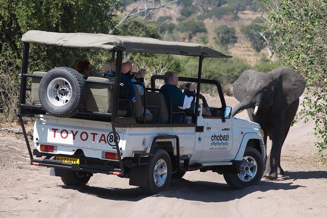Chobe National Park Game Drive, Botswana - The Itinerary: A Closer Look