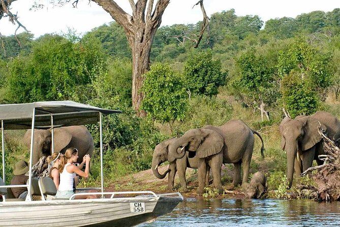 Chobe Safari Day Trip From Livingstone - The Border Crossing and Transportation