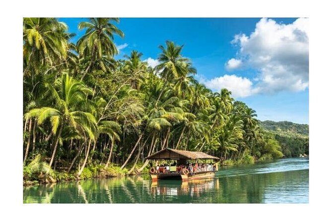 Chocolate hills tour with Tarsier & Loboc river Buffet Lunch (half-day tour) - Exploring the Itinerary in Detail