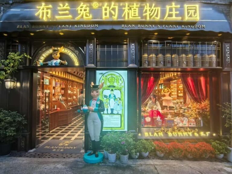 Chongqing: Art and Culture Immersion - Practical Details and Tips