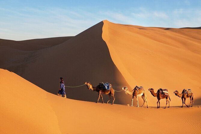 Circuit privé de 4 jours au départ de Marrakech a Merzouga Desert - What Travelers Say and Why It Matters