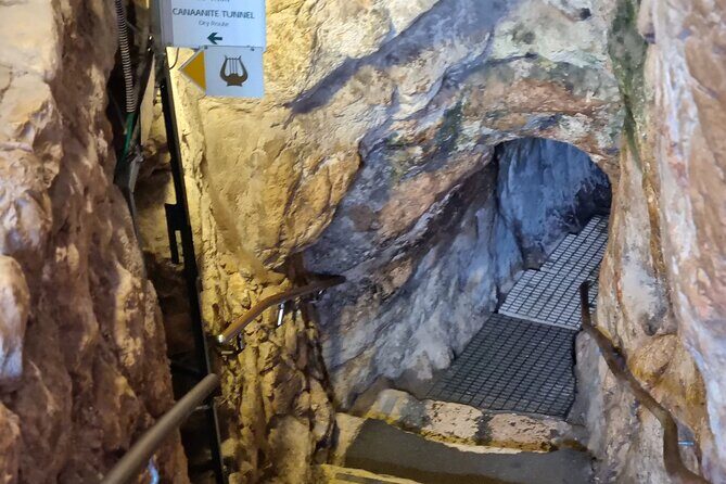City of David Private Guided Tour - Practical Details and Considerations