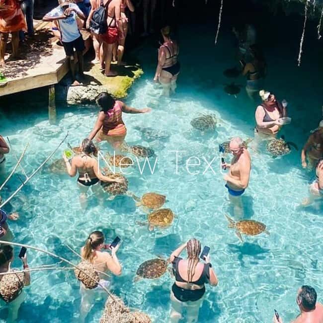 City Tour at Stone town, Jozani Forest and Salam Cave - Exploring the Heart of Zanzibar: What to Expect