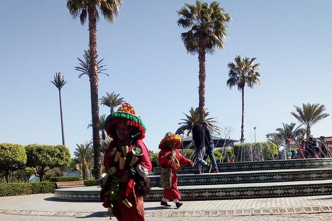 City Tour & Camel Ride - Why This Tour Is a Solid Choice
