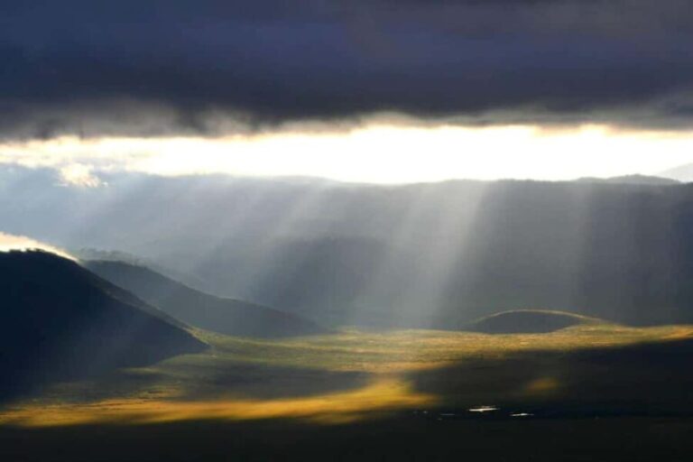 Classic 2-Day Lake Manyara and Ngorongoro Crater Safari - The Practical Side: What’s Included and What’s Not