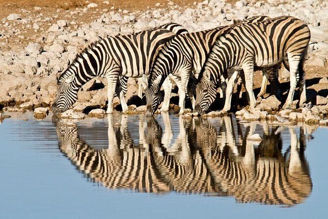Classic Best Adventure In Kenya And Tanzania 2025 - The Practical Aspects: What You Should Know