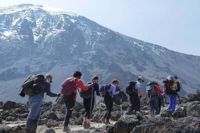 Climb Kilimanjaro - Marangu Route 8 Day Program - The Itinerary in Detail: what to Expect at Each Step