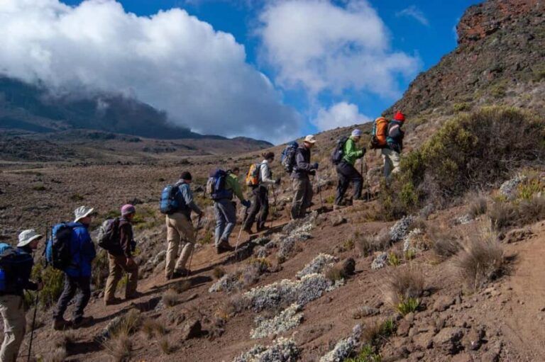 Climbing Mt.Kilimanjaro Machame Route 7 Days - What’s Included and What to Budget For