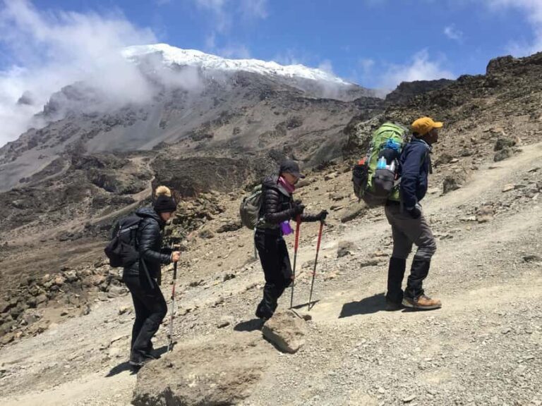 Climbing Mt.Kilimanjaro via Lemosho Route 7 days - Final thoughts