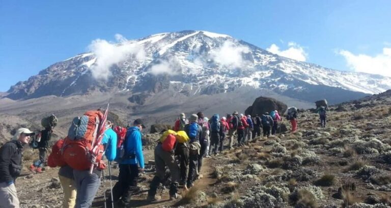 Climbing Mt.Kilimanjaro via Lemosho Route 8 days - The Value Proposition