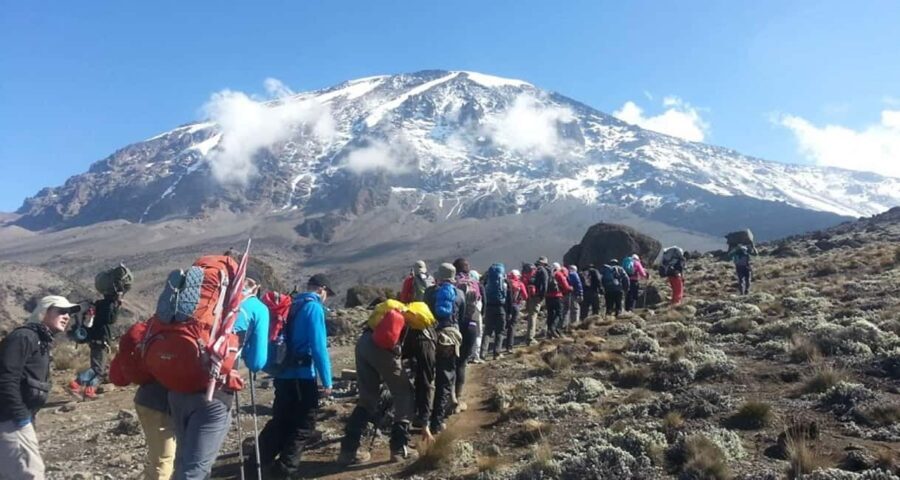 Climbing Mt.Kilimanjaro via Lemosho Route 8 days - The Value Proposition