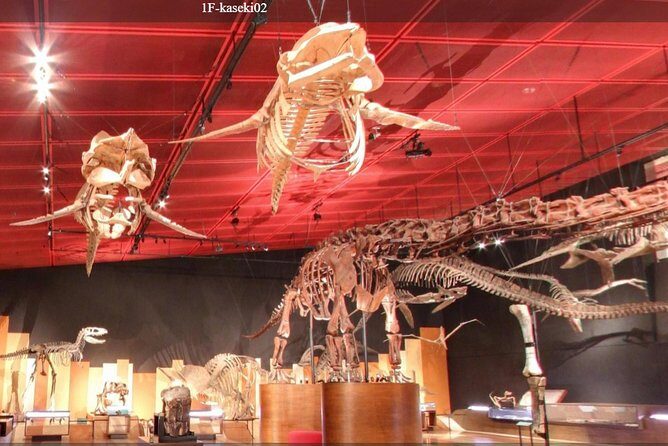 Coal & Fossil Museum Admission Ticket - Final Thoughts