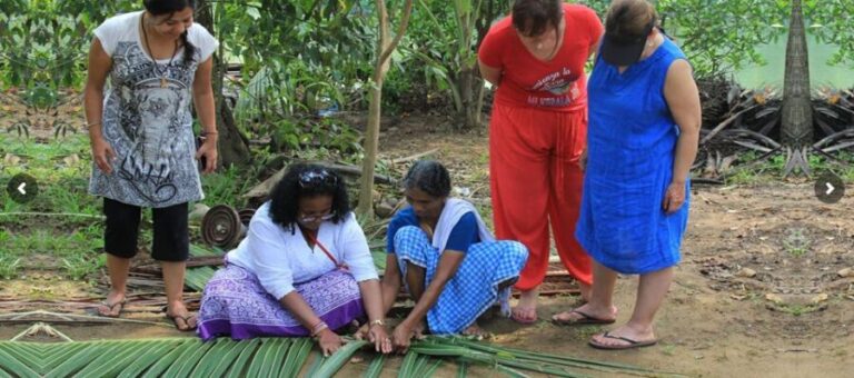 Cochin: Half-Day Backwater Village Eco Boat Cruise W/ Lunch - What Travelers Love Most