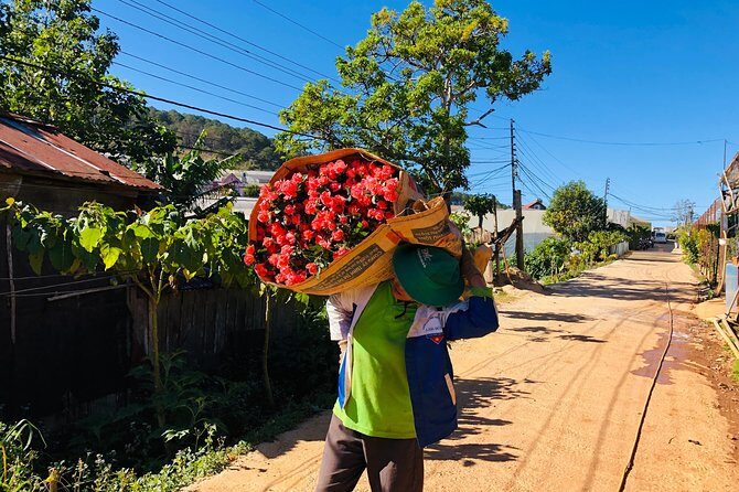 Coffee Class and DaLat Outskirt Tour - Analyzing the Value