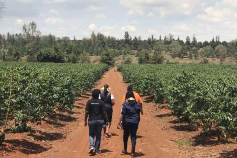 Coffee Farm Tour & Barista Workshop near Nairobi - A Deep Dive into the Coffee Farm Tour & Barista Workshop