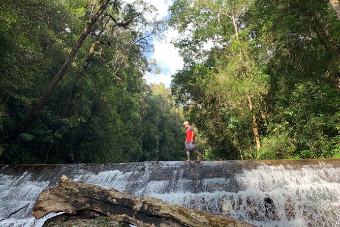 Coffee Lovers Farm and Roasting Tour - Who Will Love This Tour?