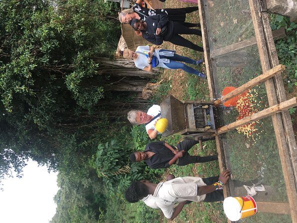 Coffee tour and Buffet Lunch with Kingstone Asilia (Arusha) - Who Is This Tour Best For?
