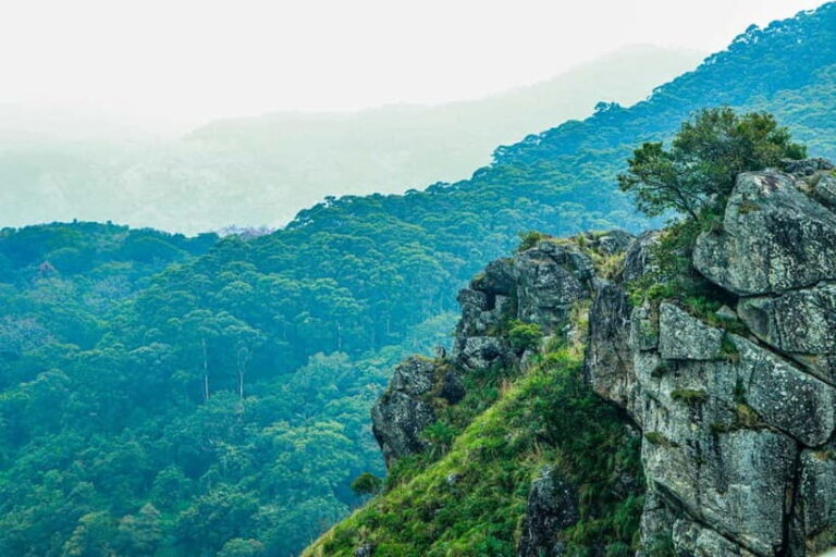 Coimbatore: Ooty Day Trip with Private Cab - Itinerary Breakdown and Highlights