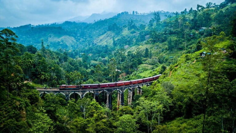 Colombo: All-Inclusive Scenic Train Journey To/From Ella - The Journey: What You Can Expect