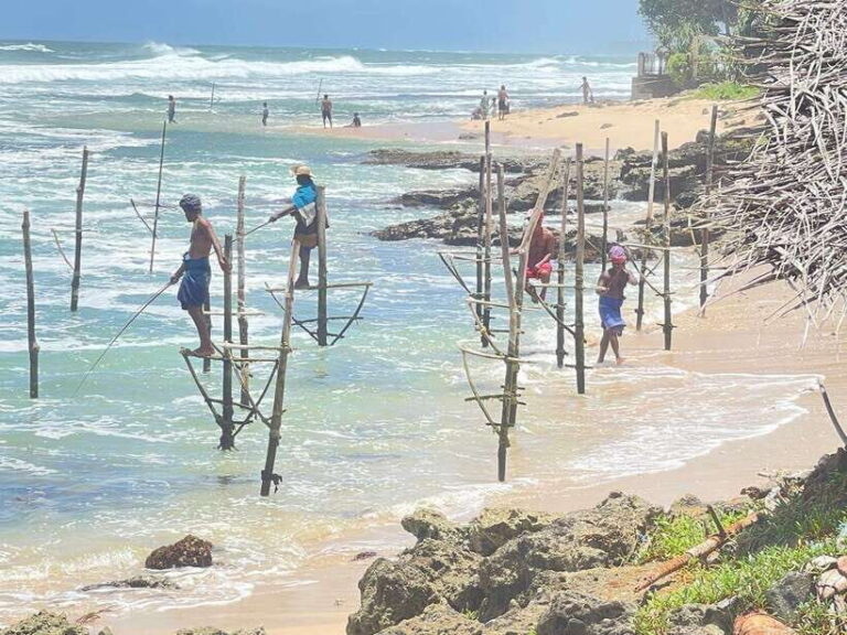 Colombo/Negombo - Galle Fort & Bentota Beach Day Tour - Who Should Consider This Tour?