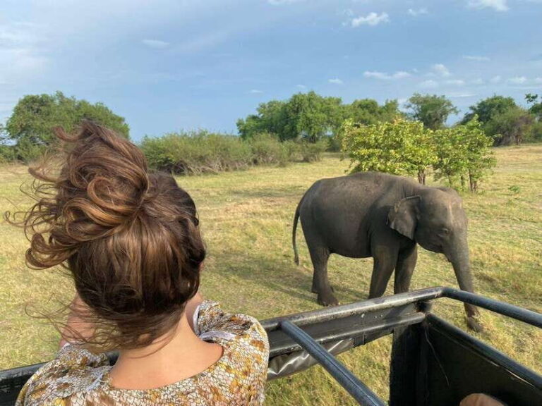 Colombo-Negombo : Sigiriya & Dambulla Cave Full-Day Tour - FAQ