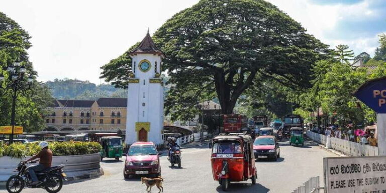Colombo: Pinnawala Orphanage, Kandy Temple of Tooth day trip - Who Would Love This Tour?