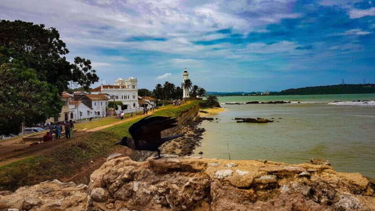Colombo: Southern Sri Lanka and Hill Country 3 Days Tour - Analyzing the Value