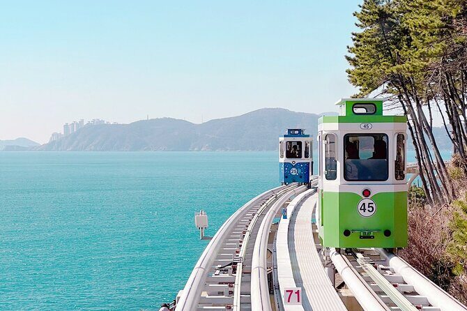 Colors of Busan: Sky Capsule, Jagalchi Market & Night Views - Who Will Enjoy This Tour?