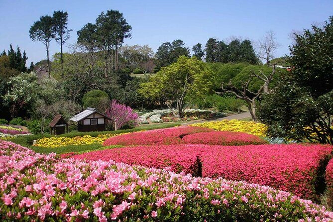 Colors of Japan, Fukuoka Nokonoshima Island Park & Wagyu BBQ - Activities for All Ages and Interests