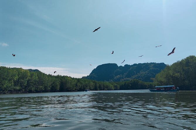 Combo Langkawi Cable Car & Sky Bridge With Mangrove Private Boat - What Travelers Say
