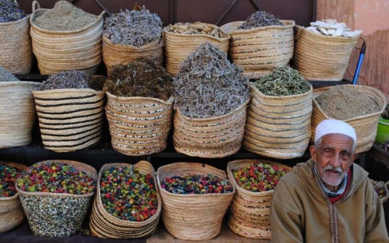 Come and discover Jamaa lafna square in the company of a local - Who Will Love This Tour?