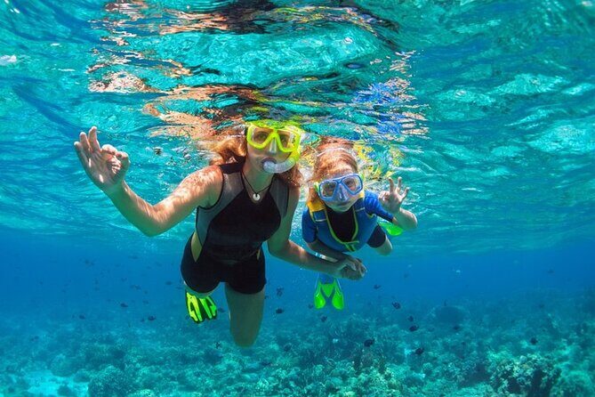 Conquest Semi Submarine Snorkeling Trip With transfer -Hurghada - Pricing and Value