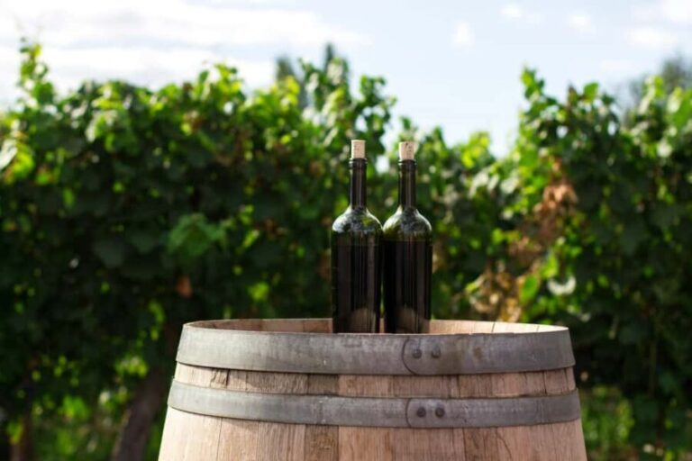 Constantia: A Vintner's Legacy Experience - The Sum Up