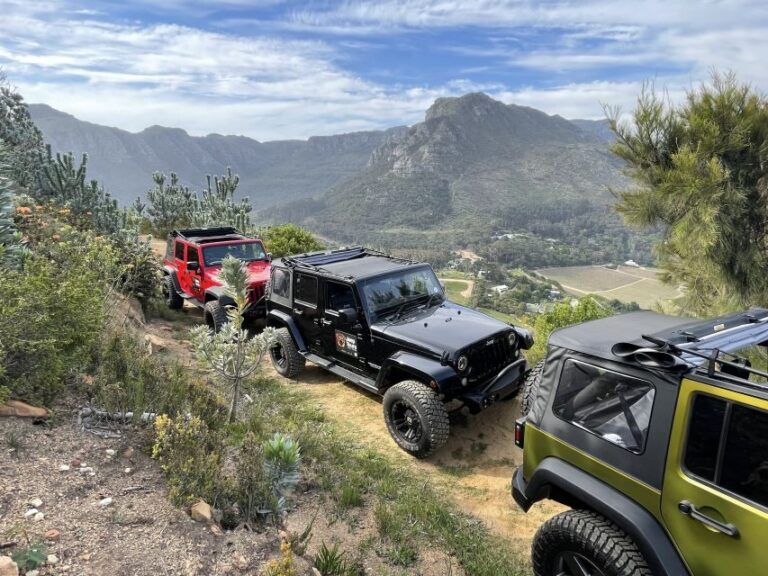 Constantia: Wine Tour - Award Winning Jeep Tours Cape Town - Value and Who It’s Best For