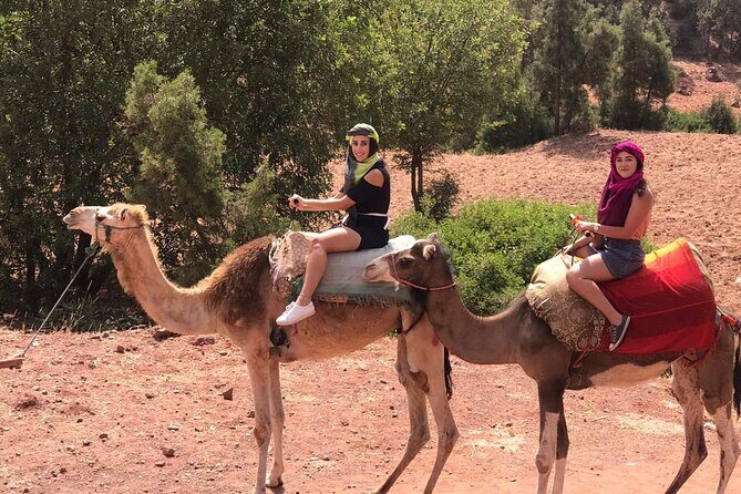 Cooking class with Berber Family and camel rides - The Practicalities and Value
