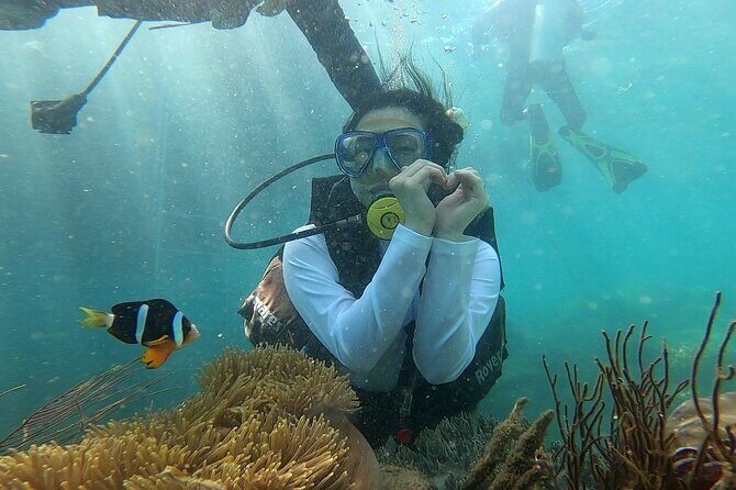 Coral Reef Snorkeling and Floating Bar Party from Nha Trang - A Closer Look at the Tour Experience