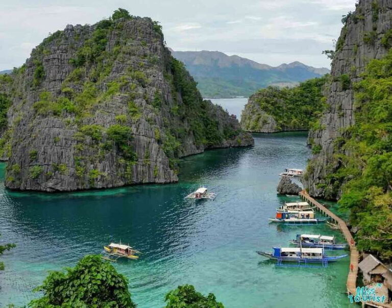 Coron: Barracuda Lake and Reef Garden Tour with Lunch - Practical Details and Considerations