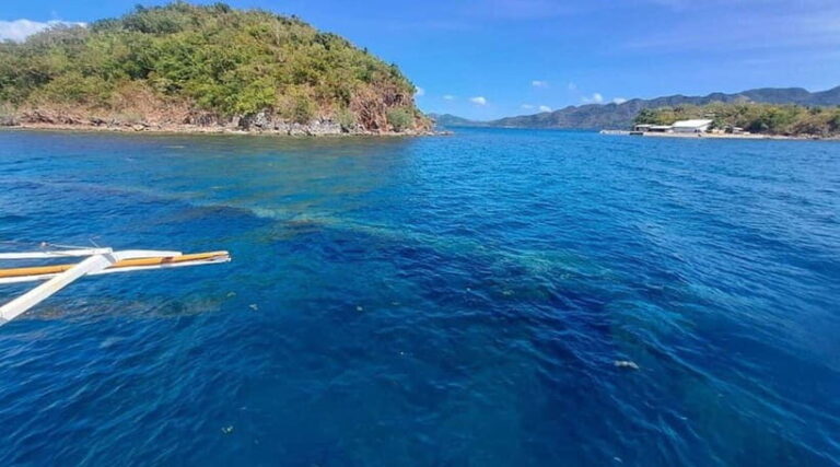 Coron Island: Reef and Wrecks Tour (JOINERS) - A Deep Dive into the Coron Reef & Wrecks Tour