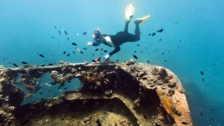 Coron Reef and Wrecks Tour (Private Tour) - The Sum Up: Is It Worth It?