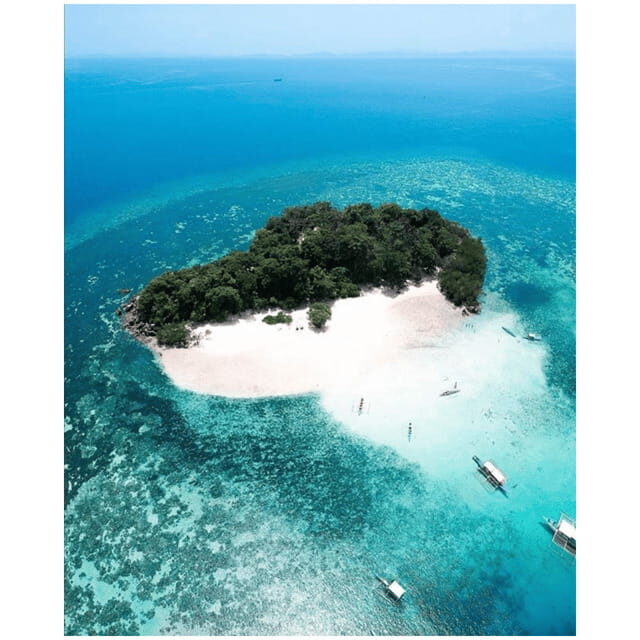 Coron: Reef & East Tangat Wrecks Tour with Lunch - Is This Tour Worth the Price?
