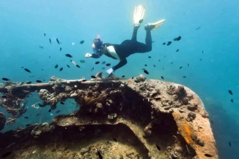 Coron: Reefs and Wrecks Tour with Snorkeling Equipment - What You Can Expect from the Tour