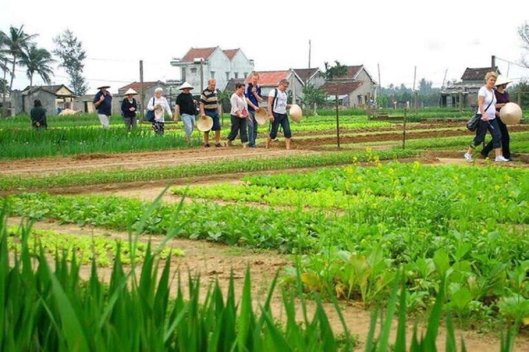 Countryside Biking -Farming -Market -Cooking Class In Hoi An - A Deep Dive into the Experience