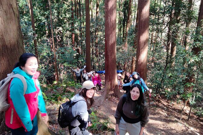Countryside Walking & Mountain Hiking in Organic Town Near Tokyo - Who Will Love This Tour?